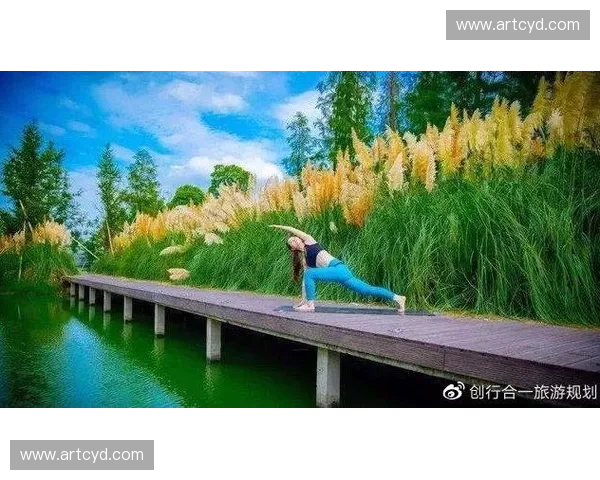 运动顾问：打造个性化健身计划助力健康生活的专业指南