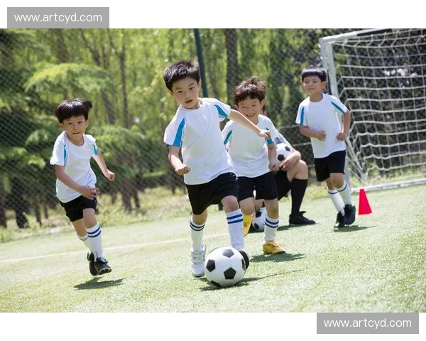 体育综合研究视角下的运动表现、健康促进与社会影响力的多维分析 体育综合研究视角下的运动表现、健康促进与社会影响力的多维分析