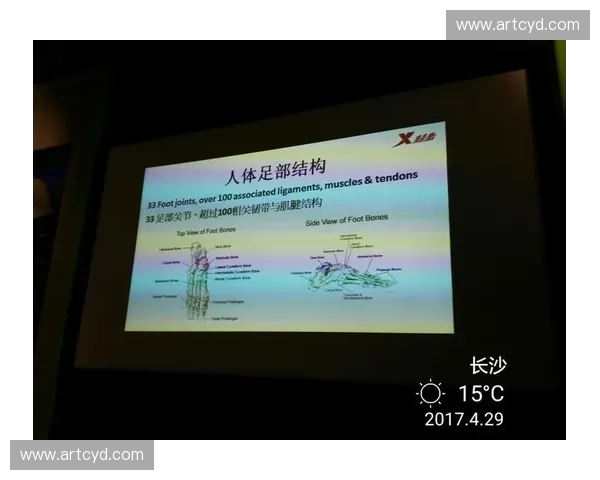 生物力学视角下人体运动与健康管理的理论与应用研究 生物力学视角下人体运动与健康管理的理论与应用研究