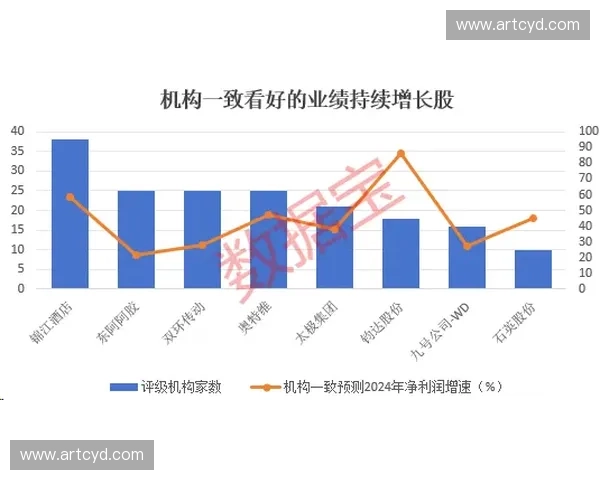 以数字品牌资产为核心驱动企业长期价值增长新范式构建与治理路径研究