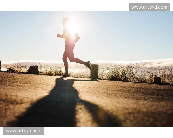 根据心率区间科学划分，如何合理安排不同强度的运动训练提升健康水平